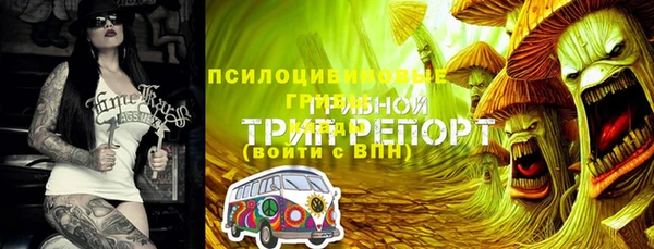 а пвп мука Осинники