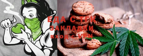гашик Няндома