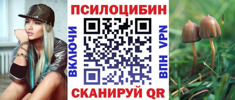 Псилоцибиновые грибы Psilocybe  Ленинск 